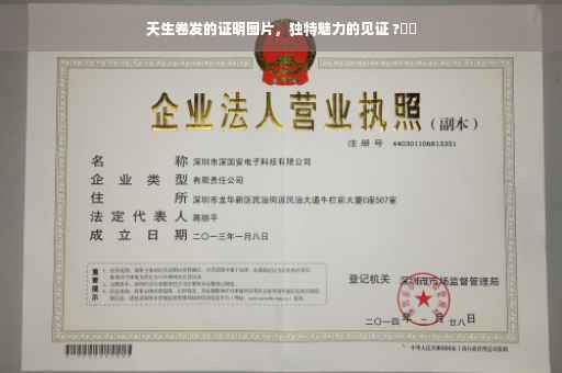 天生卷发的证明图片，独特魅力的见证 ?⚡️