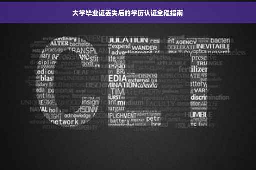 大学毕业证丢失后的学历认证全程指南