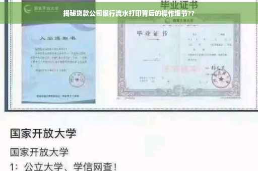 揭秘贷款公司银行流水打印背后的操作细节??