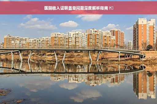 医院收入证明盖章问题深度解析指南 ?✨
