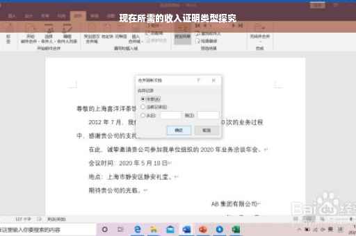现在所需的收入证明类型探究