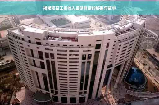 揭秘张某工资收入证明背后的秘密与故事