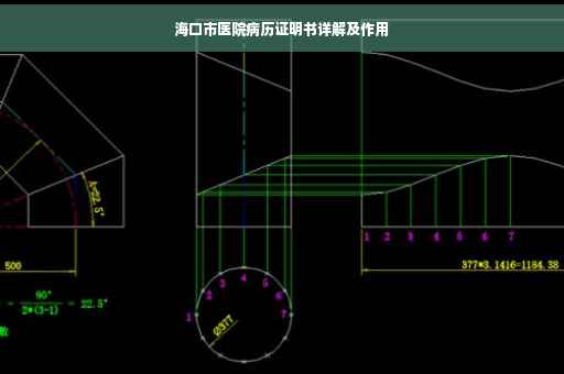 海口市医院病历证明书详解及作用