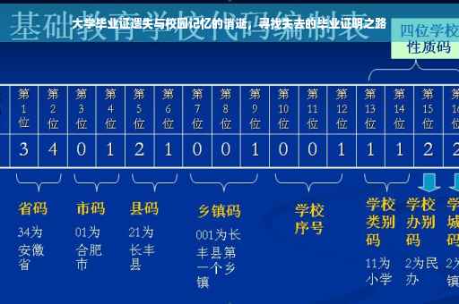 大学毕业证遗失与校园记忆的消逝，寻找失去的毕业证明之路