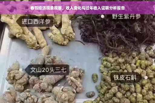 春节经济现象观察，收入变化与过年收入证明分析报告