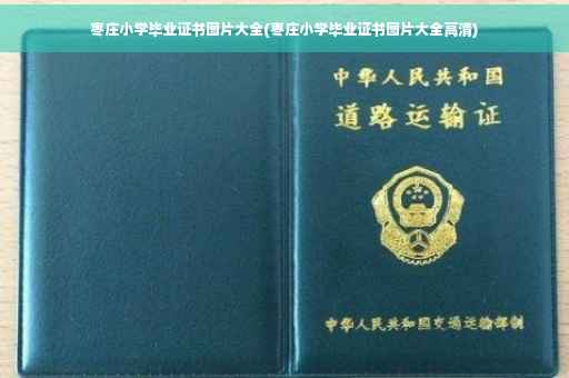 枣庄小学毕业证书图片大全(枣庄小学毕业证书图片大全高清)
