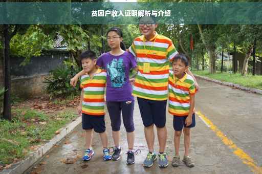 贫困户收入证明解析与介绍