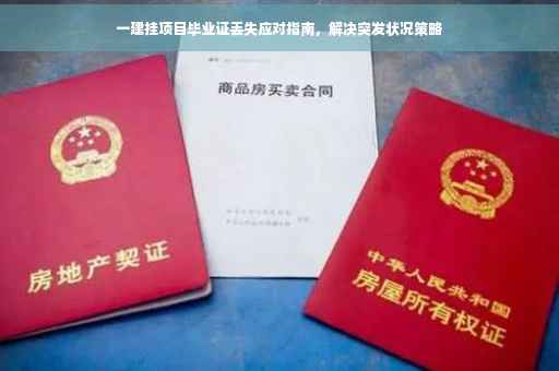 一建挂项目毕业证丢失应对指南，解决突发状况策略