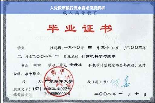 入党政审银行流水要求深度解析
