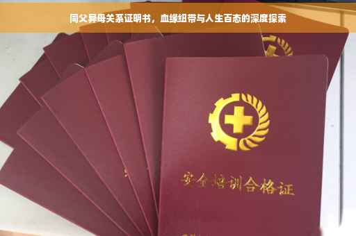 同父异母关系证明书，血缘纽带与人生百态的深度探索