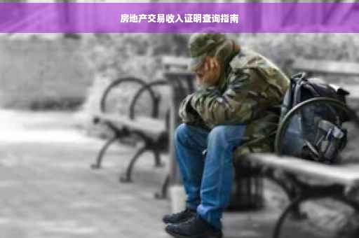 房地产交易收入证明查询指南