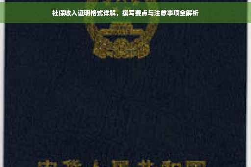 社保收入证明格式详解，撰写要点与注意事项全解析