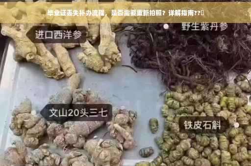 毕业证丢失补办流程，是否需要重新拍照？详解指南??✨