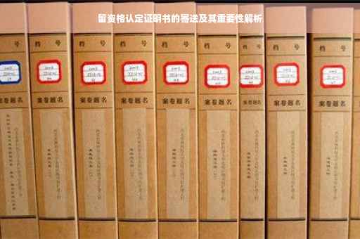 留资格认定证明书的寄送及其重要性解析