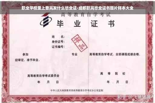 职业学校里上普高发什么毕业证-成都职高毕业证书图片样本大全