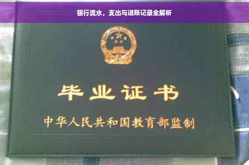 银行流水，支出与进账记录全解析