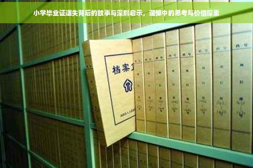 小学毕业证遗失背后的故事与深刻启示，遗憾中的思考与价值探索