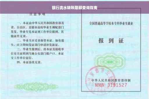 银行流水转账限额查询指南