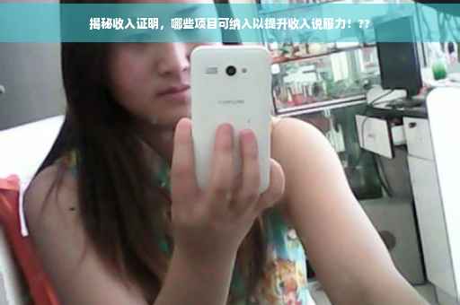 揭秘收入证明，哪些项目可纳入以提升收入说服力！??