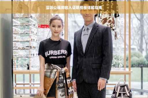 深圳公租房收入证明模板详解指南