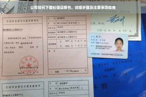 公司如何下载社保证明书，详细步骤及注意事项指南