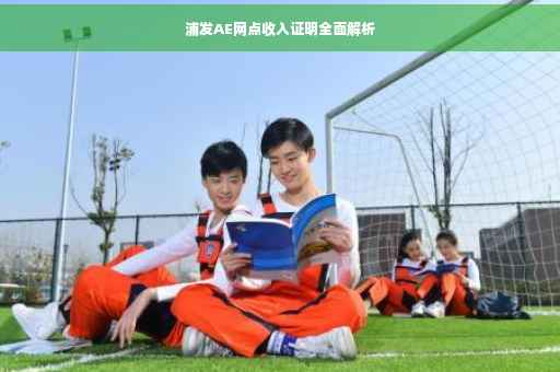 浦发AE网点收入证明全面解析