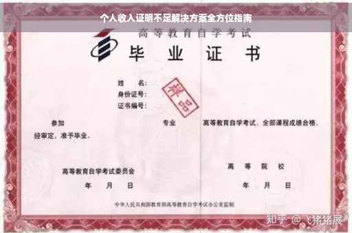个人收入证明不足解决方案全方位指南