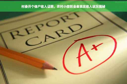 村委开个体户收入证明，农村小微创业者真实收入状况揭秘