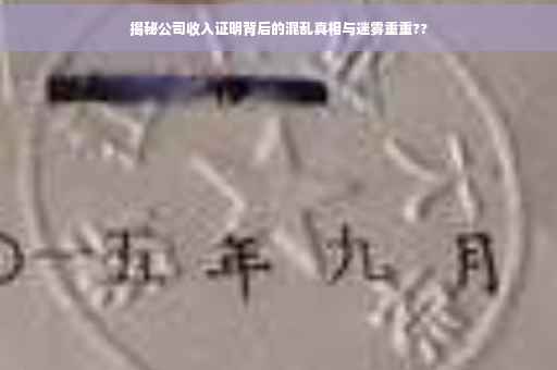 揭秘公司收入证明背后的混乱真相与迷雾重重??