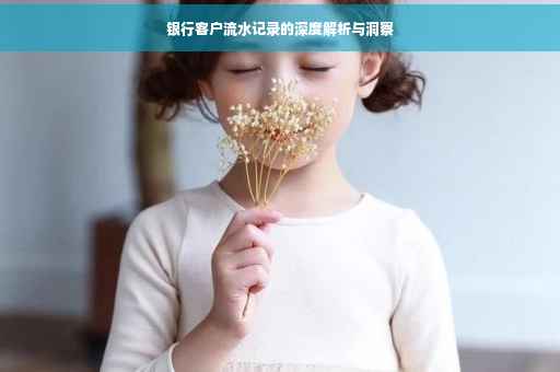 银行客户流水记录的深度解析与洞察
