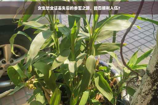 女生毕业证丢失后的参军之路，能否顺利入伍？