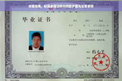 详细指南，社保参保证明书领取步骤与注意事项