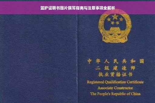 监护证明书图片撰写指南与注意事项全解析