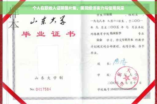 个人在职收入证明图片集，展现经济实力与信用风采