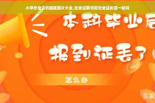 小学毕业证书搞笑图片大全,毕业证明书和毕业证长得一样吗