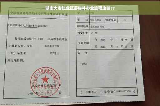 湖南大专毕业证丢失补办全流程攻略??