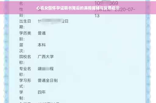 心机女假怀孕证明书背后的真相揭秘与反思启示