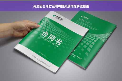 高清因公死亡证明书图片及详细解读指南