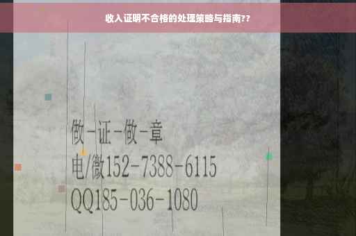 收入证明不合格的处理策略与指南??