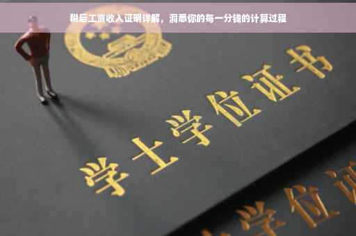 税后工资收入证明详解，洞悉你的每一分钱的计算过程