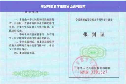 撰写有效的学生感冒证明书指南