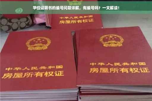 学位证明书的编号问题详解，有编号吗？一文解读！