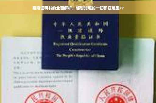 离婚证明书的全面解析，你想知道的一切都在这里??