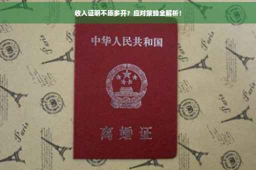 收入证明不愿多开？应对策略全解析！