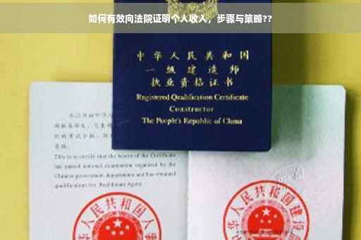 如何有效向法院证明个人收入，步骤与策略??