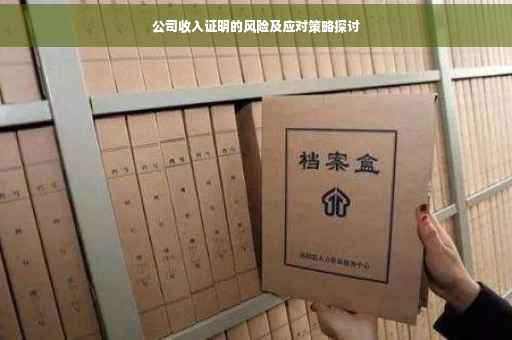 公司收入证明的风险及应对策略探讨