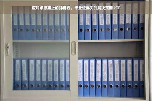 应对求职路上的绊脚石，毕业证丢失的解决策略 ?⚡️