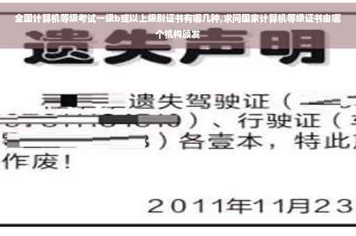 全国计算机等级考试一级b或以上级别证书有哪几种,求问国家计算机等级证书由哪个机构颁发