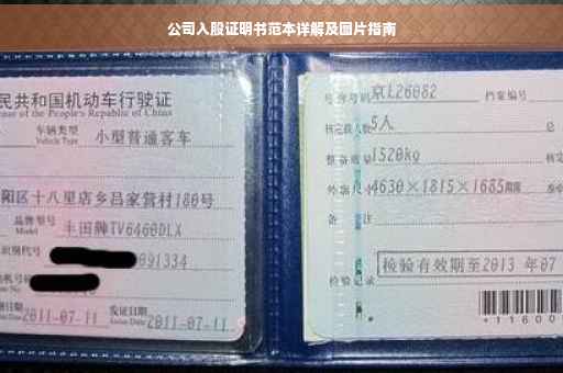 公司入股证明书范本详解及图片指南