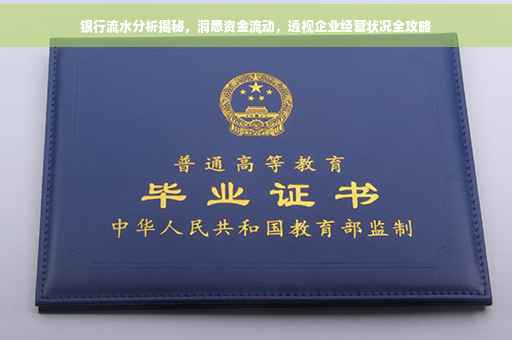 银行流水分析揭秘，洞悉资金流动，透视企业经营状况全攻略